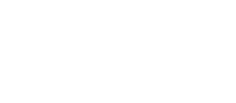 betbhai9_logo